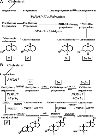Fig. 15.