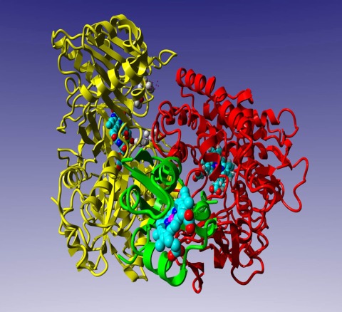 Fig. 8.