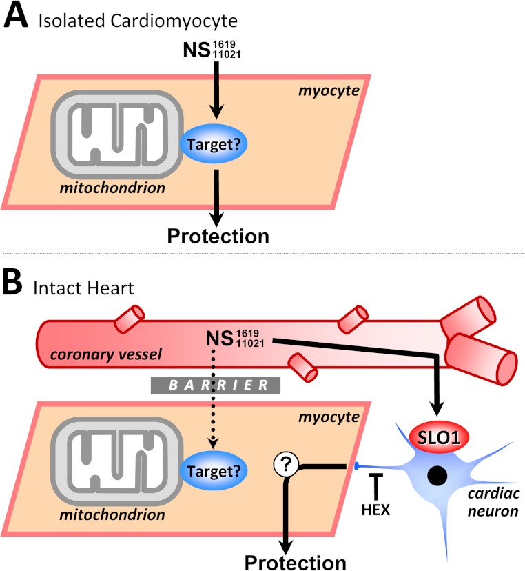 Figure 7