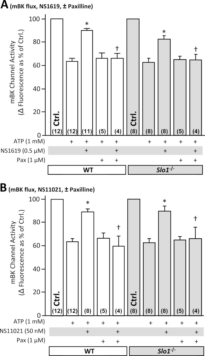 Figure 4