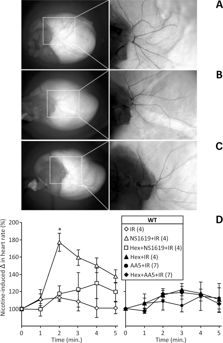 Figure 6