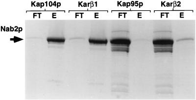 FIG. 7