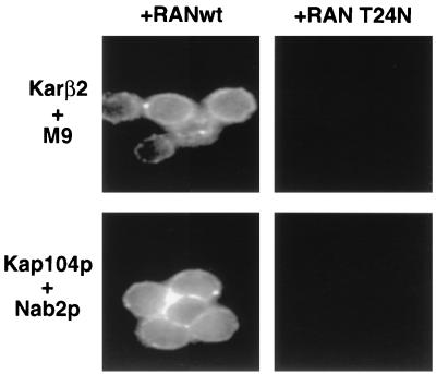 FIG. 9