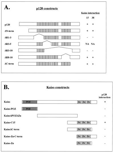 FIG. 7