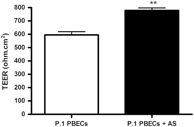 Fig. 9