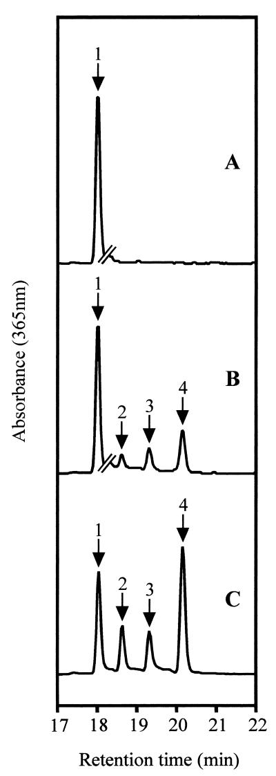 FIG. 5