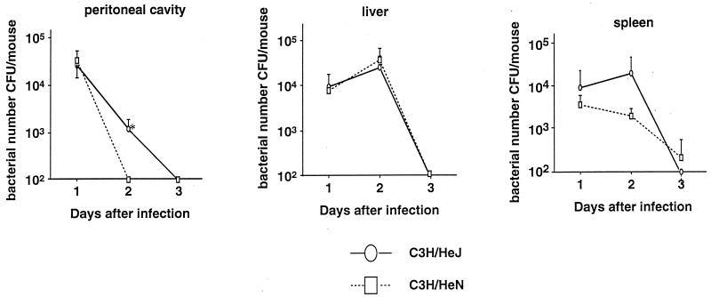 FIG. 1