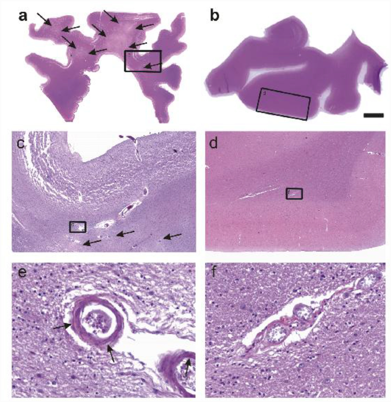 Fig. 3: