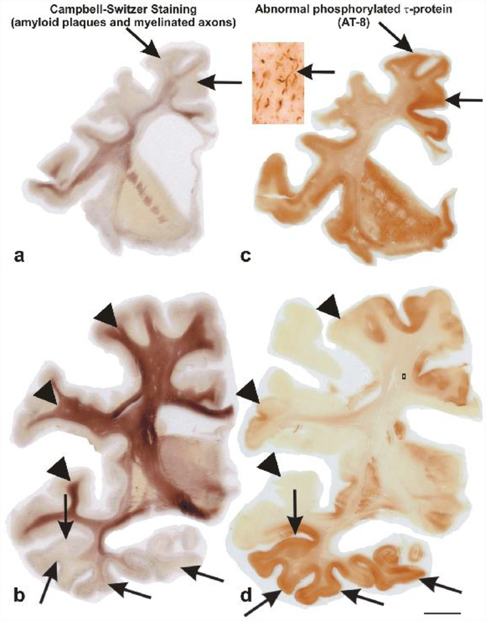 Fig. 2: