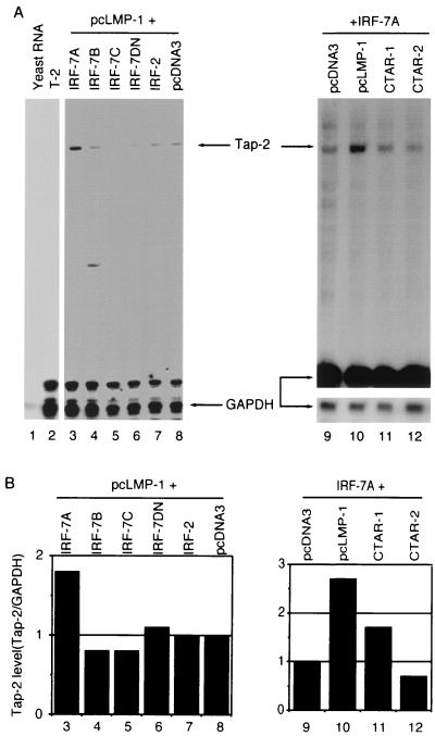 FIG. 6