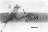 264-1