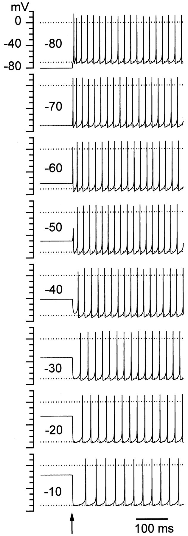 Fig. 13.