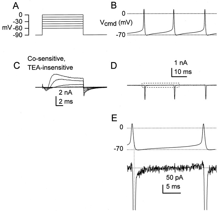Fig. 7.