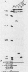 4956