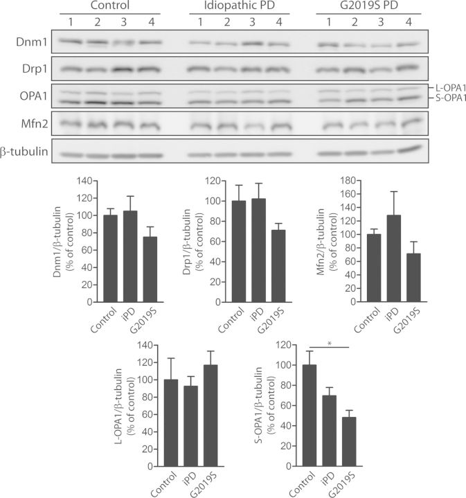 Figure 5.