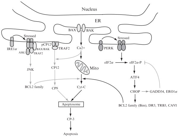 Figure 20.1