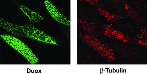 FIG. 8.