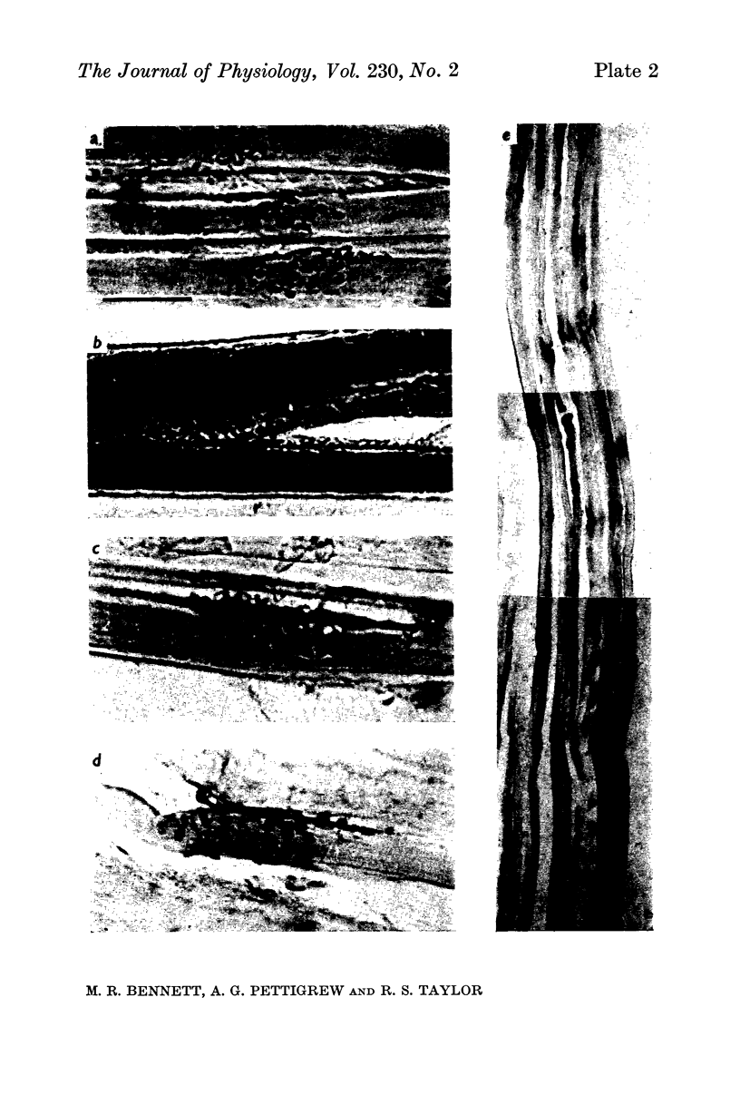 354-2