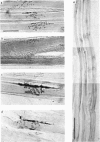 354-2