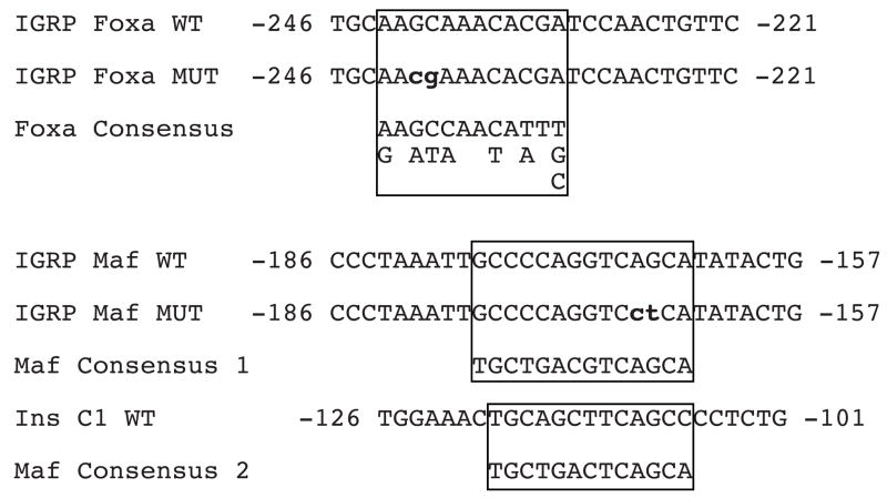 graphic file with name nihms78563f11.jpg