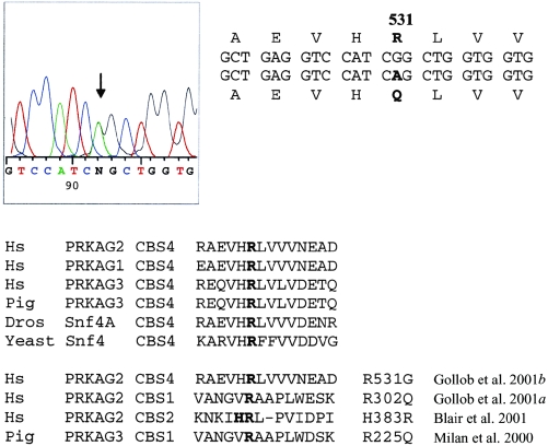 Figure  1