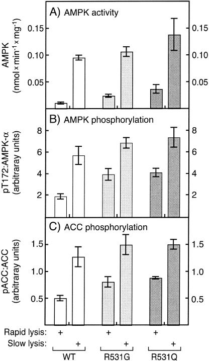 Figure  5