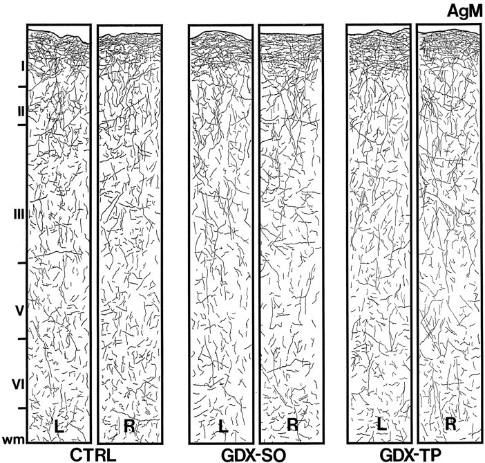Fig. 10.