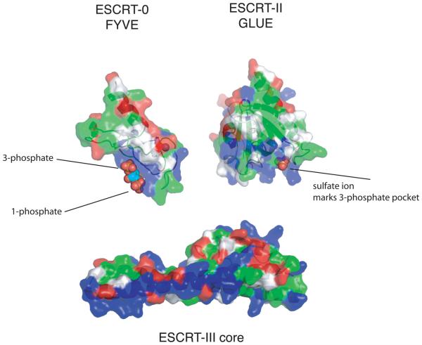 Figure 9