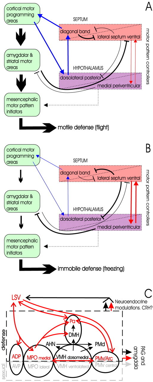 Fig. 8.