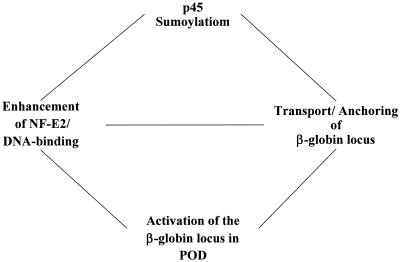 FIG. 9.