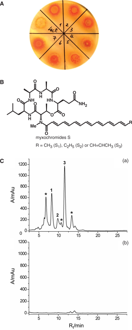 Figure 2.