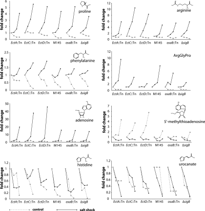 FIG. 6.