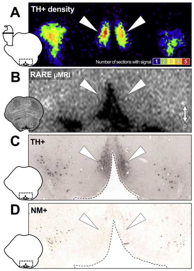 Fig. 7