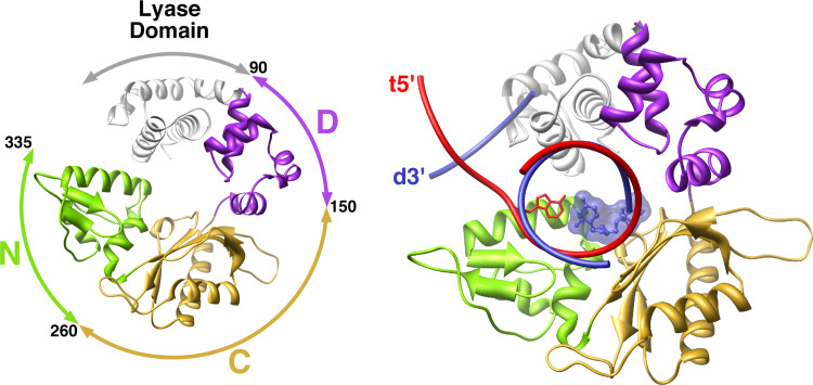 Fig. 2