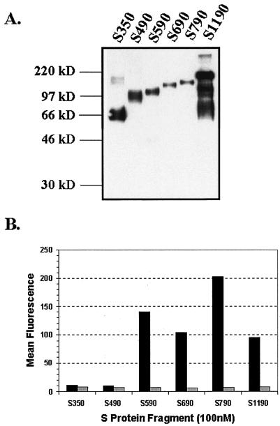 FIG. 5.