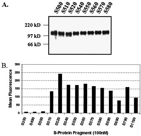 FIG. 6.