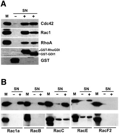 graphic file with name cdf449f2.jpg