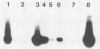 2440