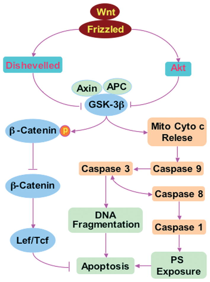 Fig. 3