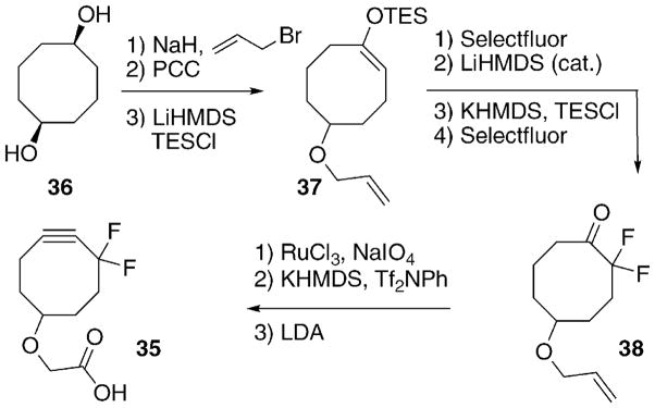 Scheme 7