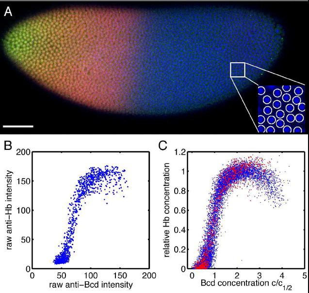 FIG. 3
