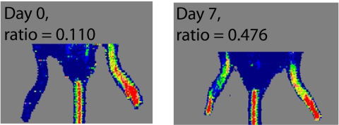 Fig. 4.