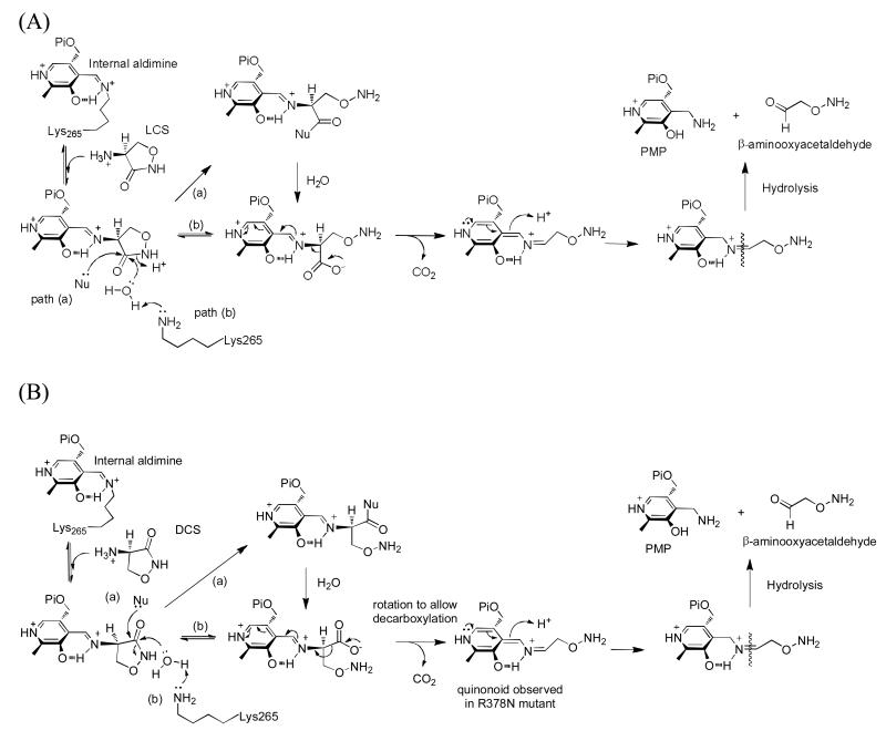 Fig. 8