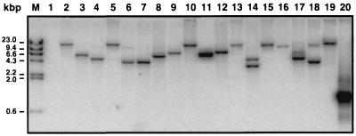 FIG. 1.
