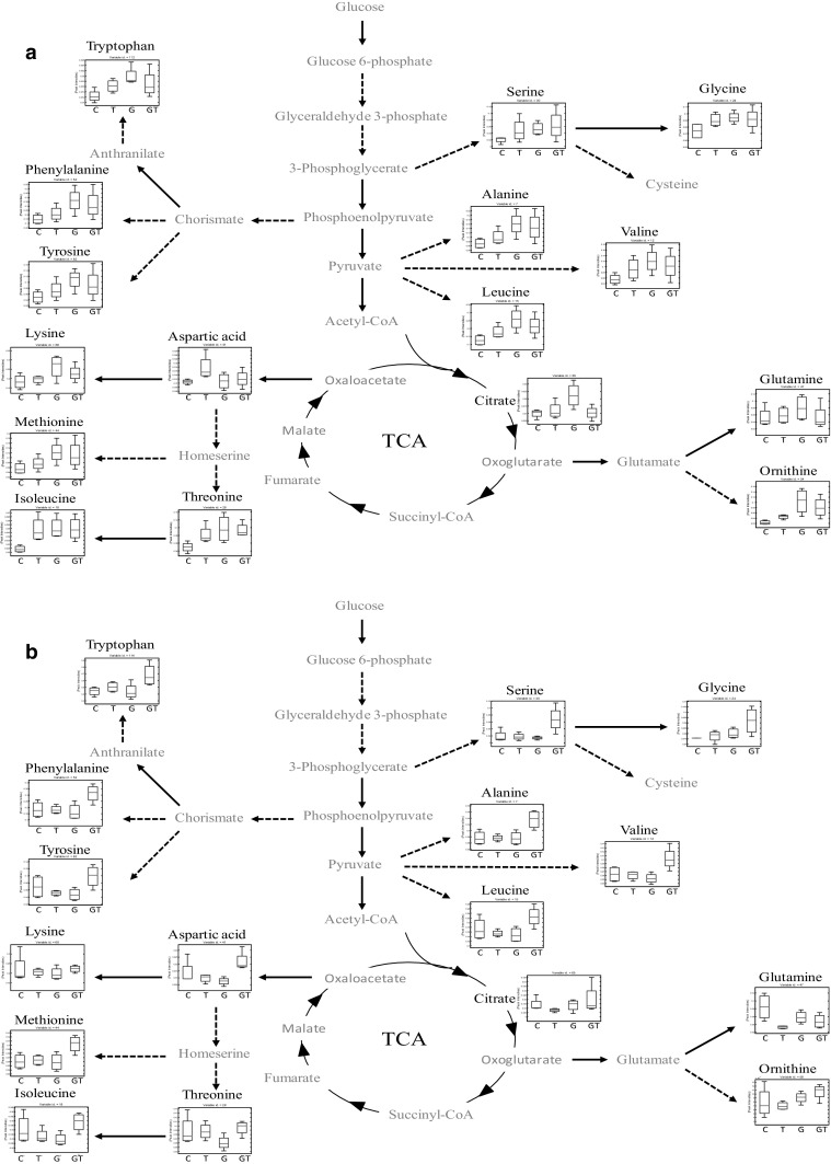 Fig. 6