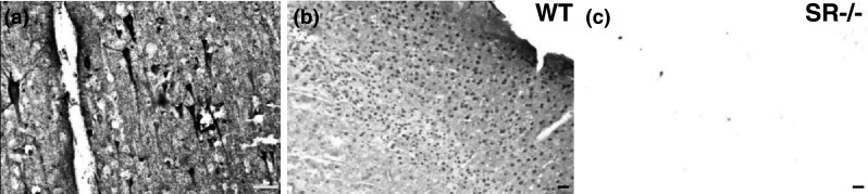 Fig. 11