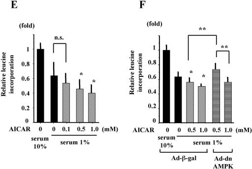 FIG. 9.