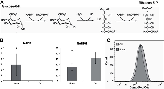 Fig. 8.