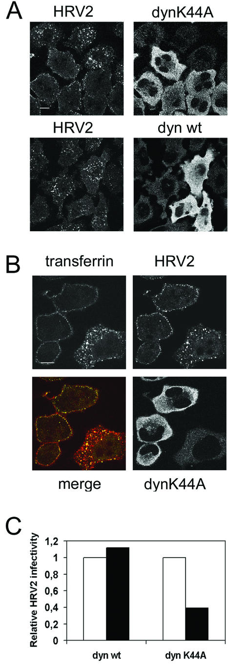 FIG.3.