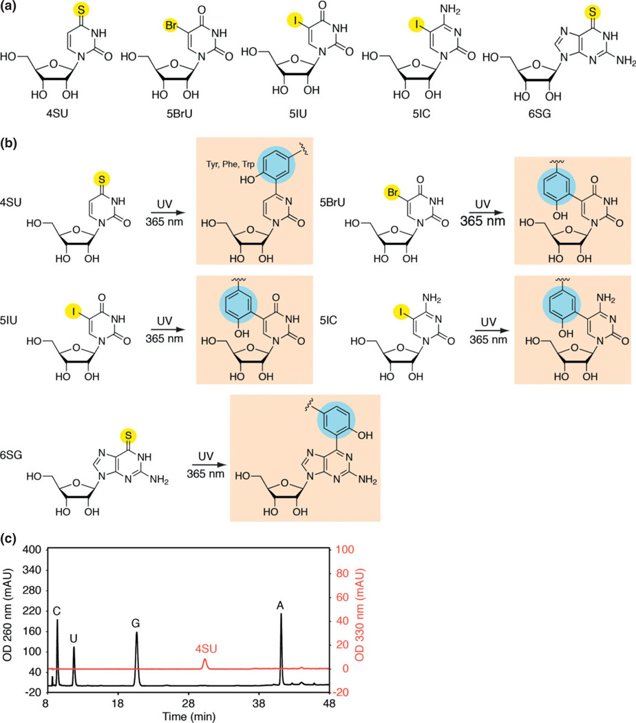 FIGURE 3